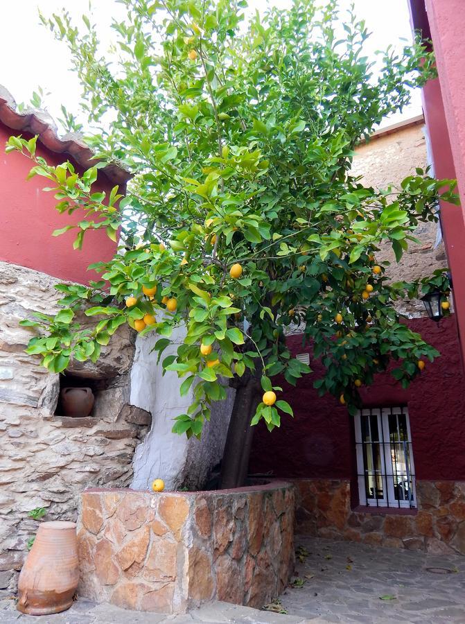 Casa Rural La Perra Gorda Zorita  Exteriör bild